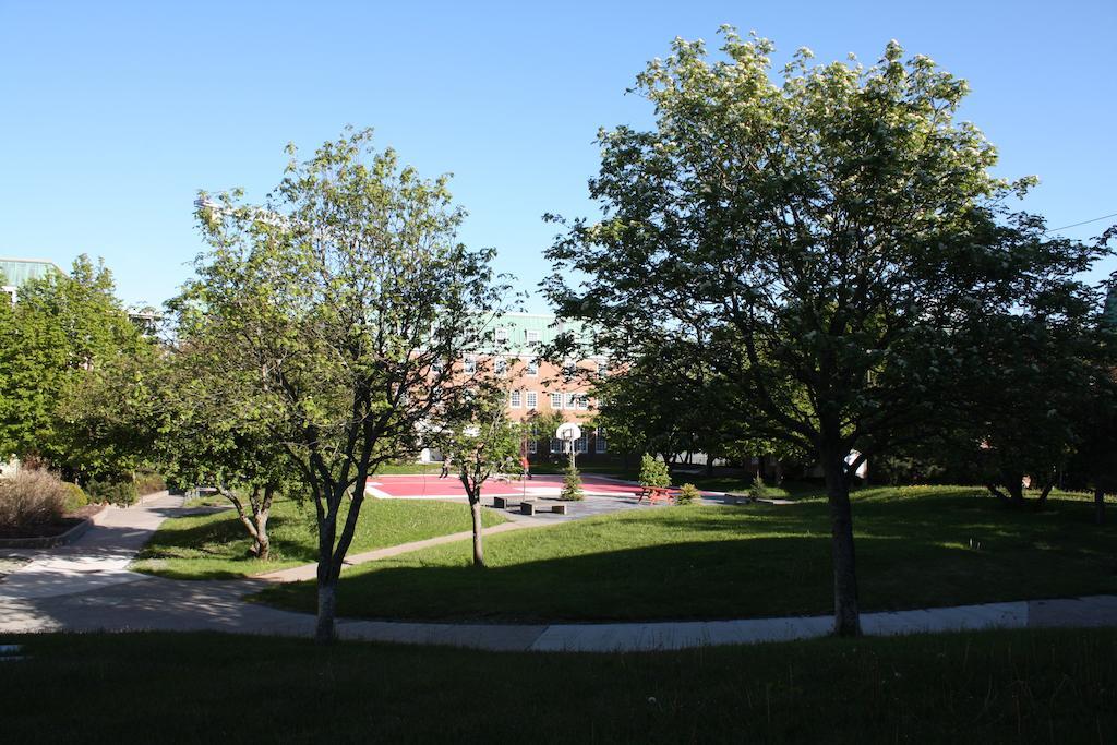 Memorial University St. John's Eksteriør bilde